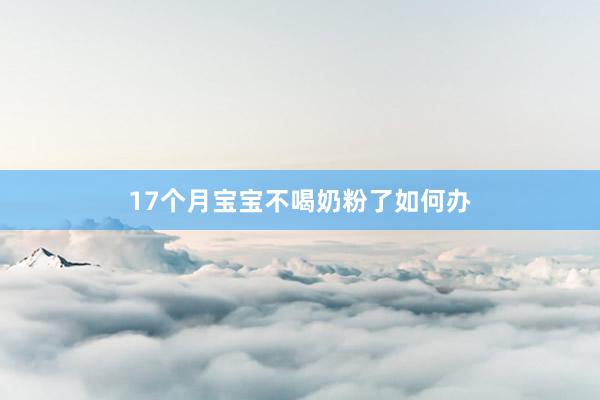 17个月宝宝不喝奶粉了如何办